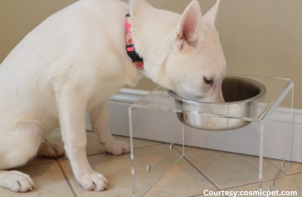 The Pets Table