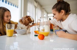 The Pets Table